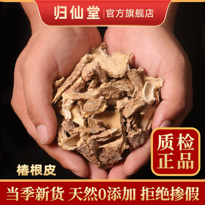 精选正品椿根皮500g新货