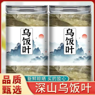 南竹叶乌饭叶新鲜南烛叶茶/南烛