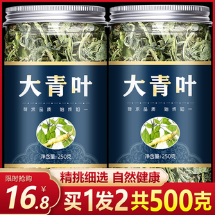 中药材大青叶野生天然大青叶片板蓝根叶大青叶新鲜晒干500g包邮
