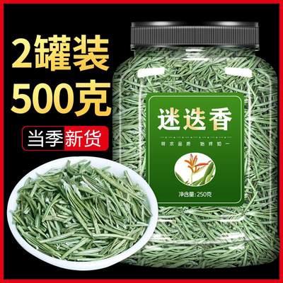 迷迭香茶叶新鲜可食用调