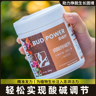 肥硫酸铝高效补充调色离子铝调蓝颗粒缓释绣球梦幻专用专用肥蓝剂
