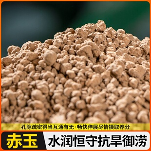 沙土小叶化石松树盆景专用玉土专用土河赤簕竹专用竹子风土簕竹粗