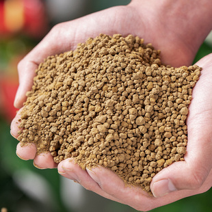 过筛硬质拌品土培基多肉本线种植赤玉土栽三兰花优质包花土土进口