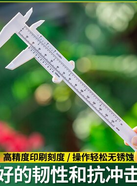 游标深度标尺尺子卡尺高精度测量小表尺塑料文玩油标尺卡尺迷你小