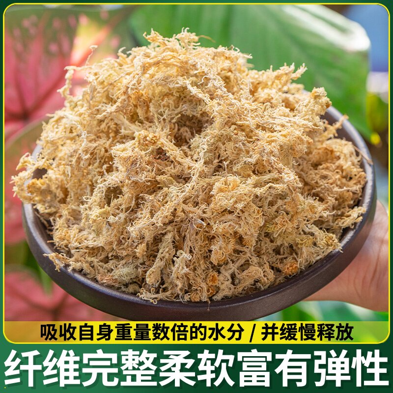 水粗壮白龟兰花包透苔毛虫保湿苔红草冬眠蝶邮植爬宠发根蝴毛料龟