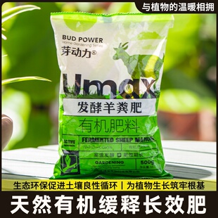 用粪肥发酵肥料蔬菜粪鸡土壤肥料菜羊有机长效鸡粪肥纯鸡粪种有机