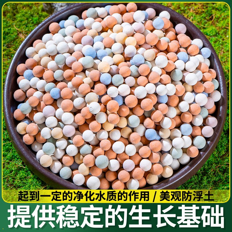盆栽水培彩色陶粒花卉专业花用种花垫底陶粒铺面营养土多肉石透气