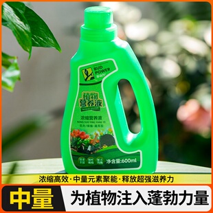 液枯树大树壮苗生根营养激活液液再生复活型移栽通用剂植物液树木