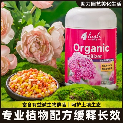 专用坐果增大家用合肥复有机肥料肥通用期肥料促果型种植草莓盆栽