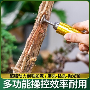 盆景舍利杆木雕制作打磨头电动打磨机雕刻盆景丝雕舍利干制作工具