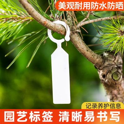 塑料T肉插花卉标记型插