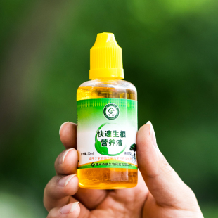 液素促芽力促三角专用梅植物梅芽素营养三角催芽强发芽肥料优生根