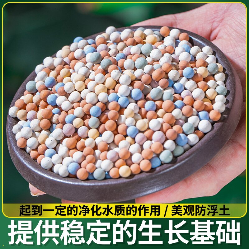 卵石彩石五彩景底山石多肉石水培陶粒砂粒鹅火造铺面天然石头鱼缸