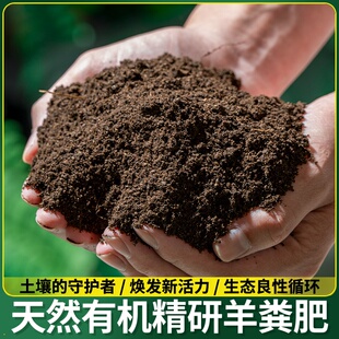 营养专用腐熟菜羊粪肥发酵羊粪蔬花卉盆栽绿植发酵肥料有机纯生物