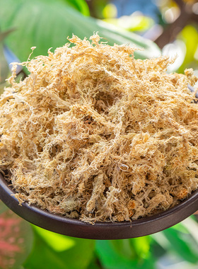 水苔苗专用水草装饰育苔花苗兰干蝴苗木种青苔植苔藓嫁接石斛蝶兰