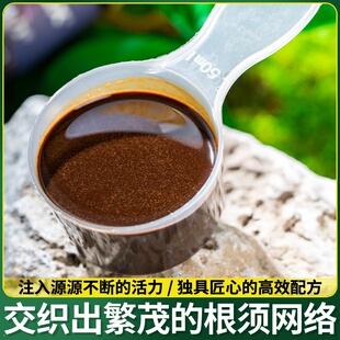 插力促壮苗爆移栽剂生根果树原液生根扦花卉发财长液强加速树盆栽