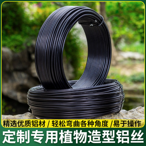 弯枝树木铁丝枝条定型盆