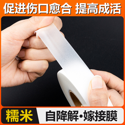 日本石蜡磨嫁接带降解ag