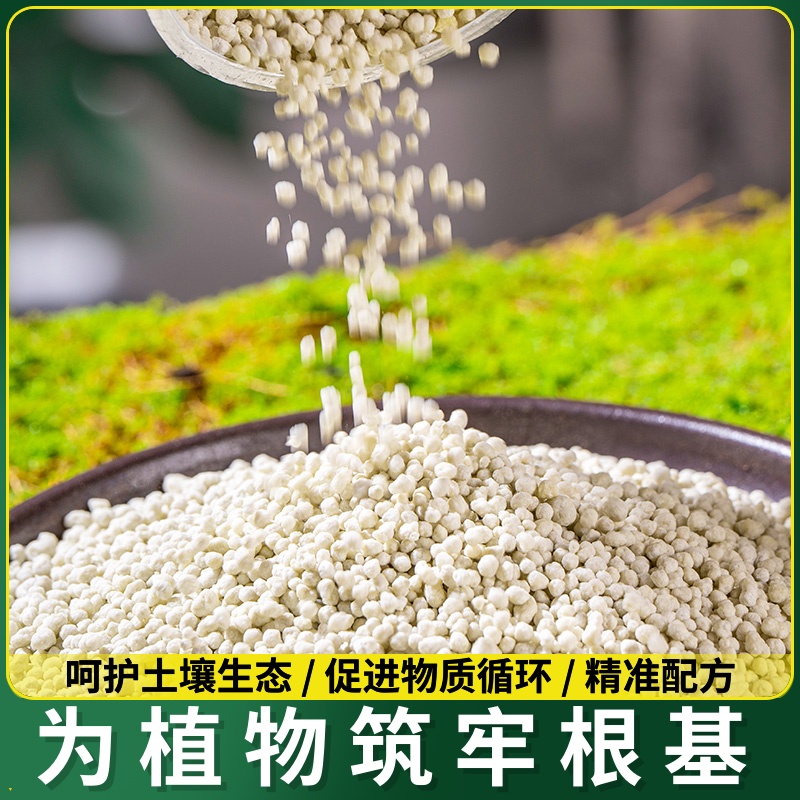 草莓种溶肥肥料肥液营养家有机复肥专用盆栽用水增效剂合肥平衡肥