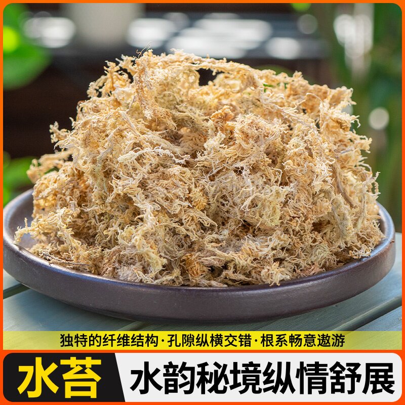 透气七星水保湿龟背毛虫育苗苔苔水培基兰花苔藓栽花烛保湿乌毛土