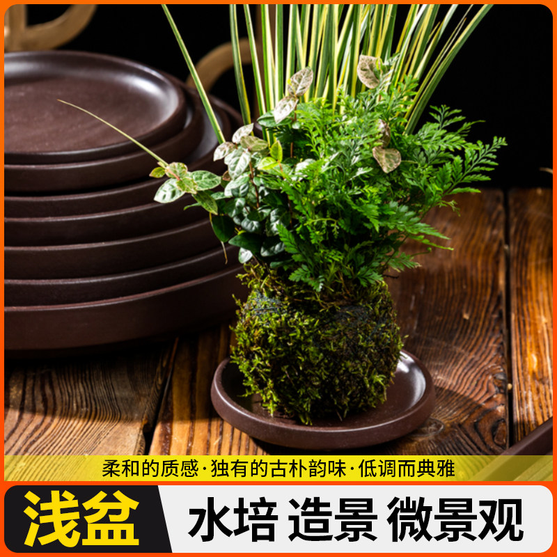 接水专用创意陶瓷盘陶盘花盆木巴西木植物幸运盘紫底座砂多肉拖