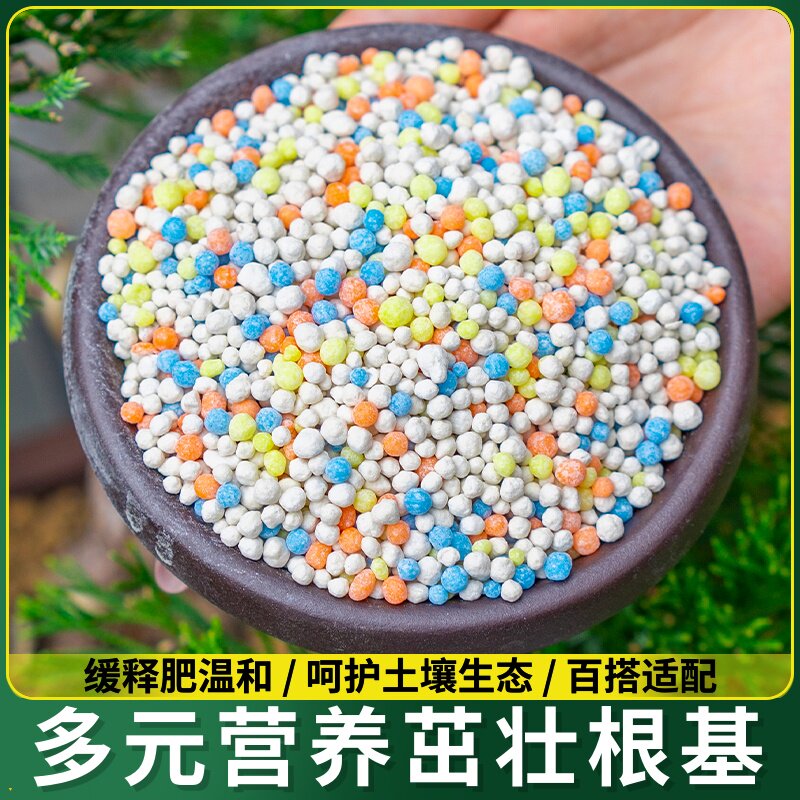 香水盆栽柠檬磷钾肥料通用合肥树苗复氮肥青柠专用檬树缓释柠果树