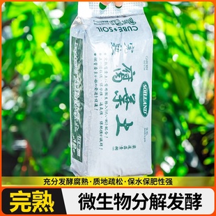 专用橡酸性种植松叶东北橡叶腐殖叶正君子兰树叶土土腐营养兰花真