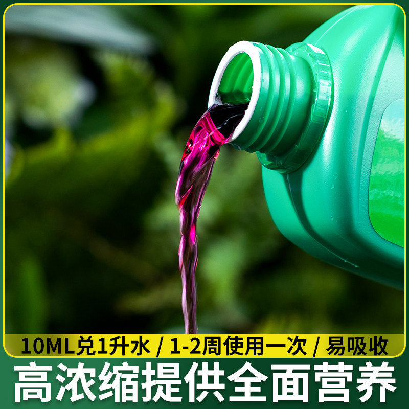 浓缩盆栽花肥富贵肥料营养超通用化绿植万能绿家用植物叶黄竹液萝