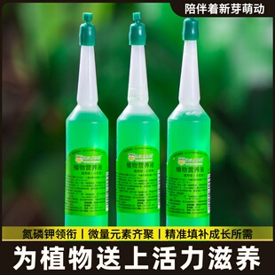 型通用剂复活液液大树生根液移栽树木植物壮苗营养枯树激活再生液