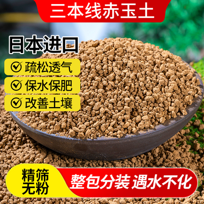 基质多石进口三土铺面肉土玉土土爬宠风化营养颗粒本线盆景赤专用