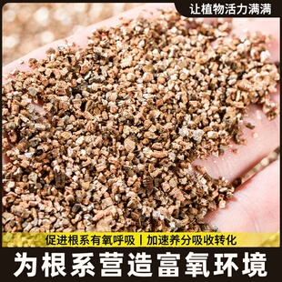 养花土营养颗粒用的花用扦插多肉专用蛭石土育苗发根岩颗粒珍珠大