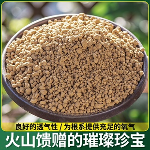 本鹿石二沼土花砂土赤多肉石土玉向土日泥土桐兰花专用营养生铺面