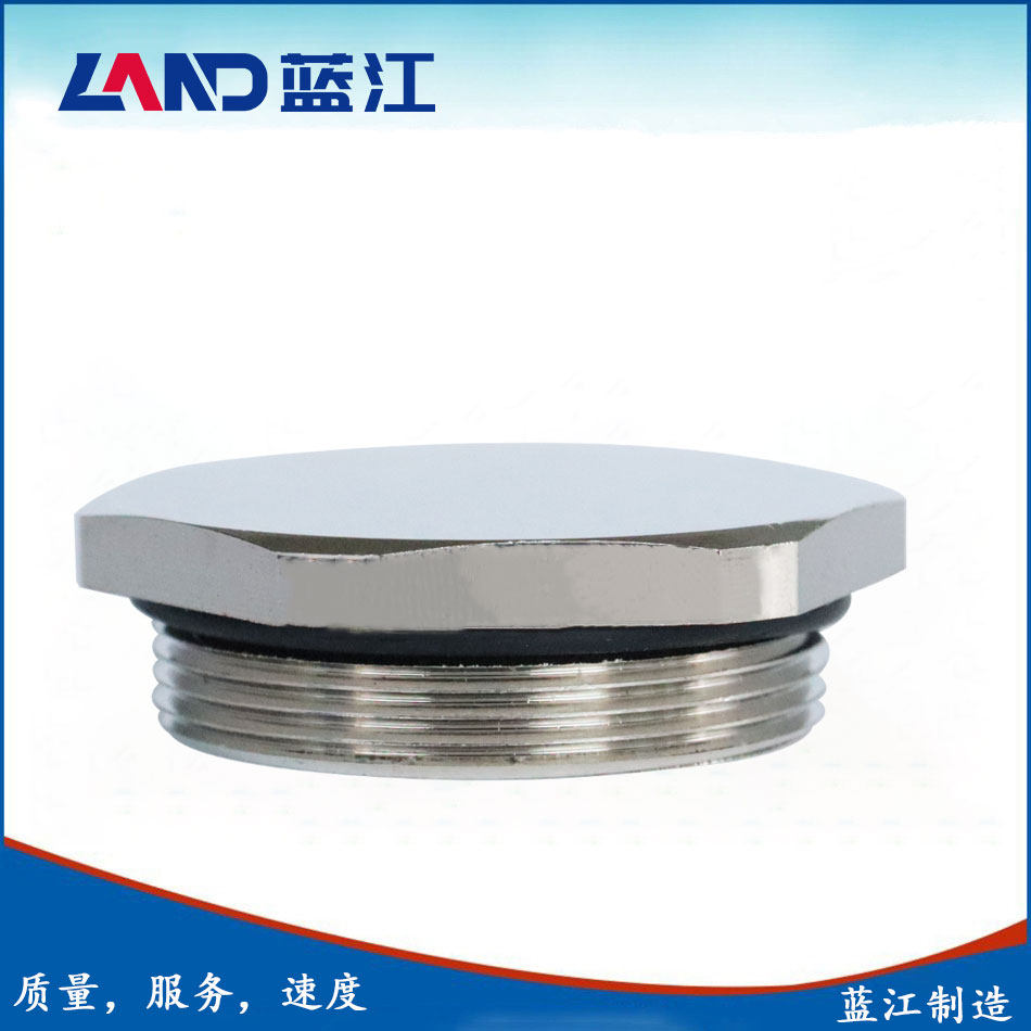 蓝江 M/PG/G牙六角金属防水闷盖IP68黄铜镀镍螺纹塞头预留孔闷头,五金/工具,电工电器成套设备,淘宝优惠券,粉丝福利购,淘宝优惠卷