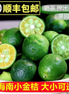【顺丰包邮】新鲜海南青金桔小金桔柠檬奶茶店专用小青柠整件免邮