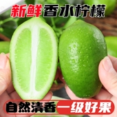 新鲜广东香水柠檬海南无籽子弹头长条四季 青柠5斤茶饮专用批发