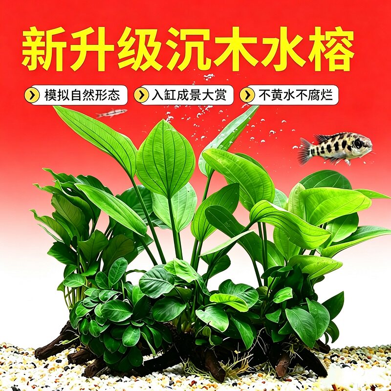 升级仿沉木水草桌面鱼缸造景自然形态装饰不黄水不腐烂水族箱植物