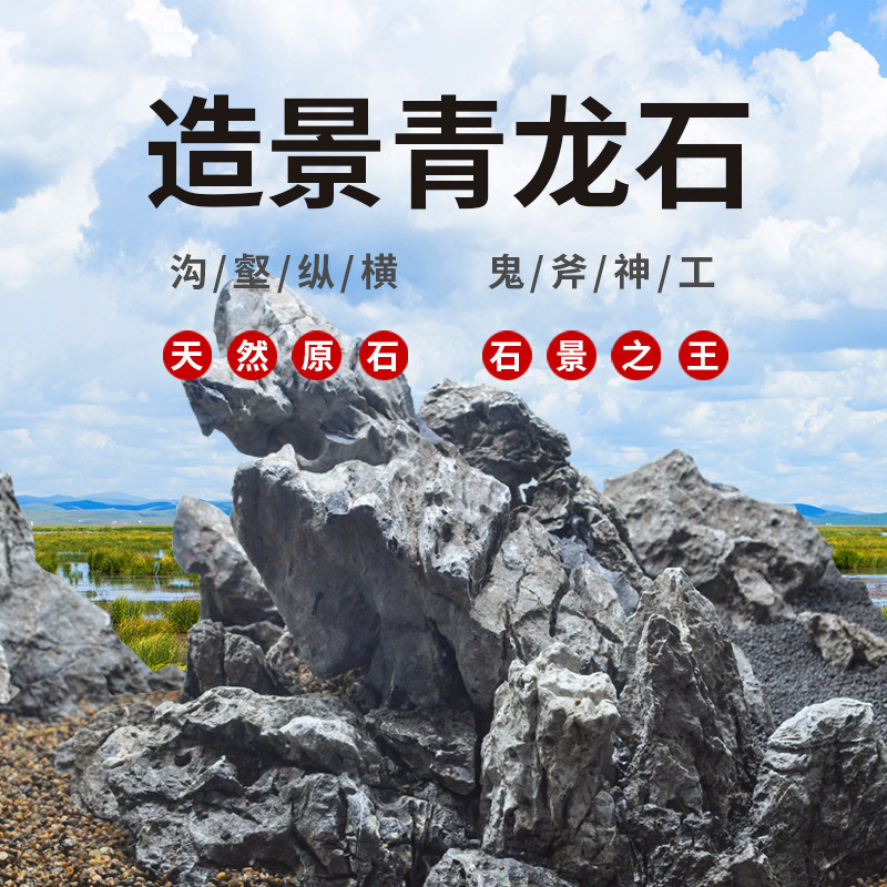 青龙石精选未酸洗鱼缸造景假山造景闪电纹大小块水草水族装饰套餐