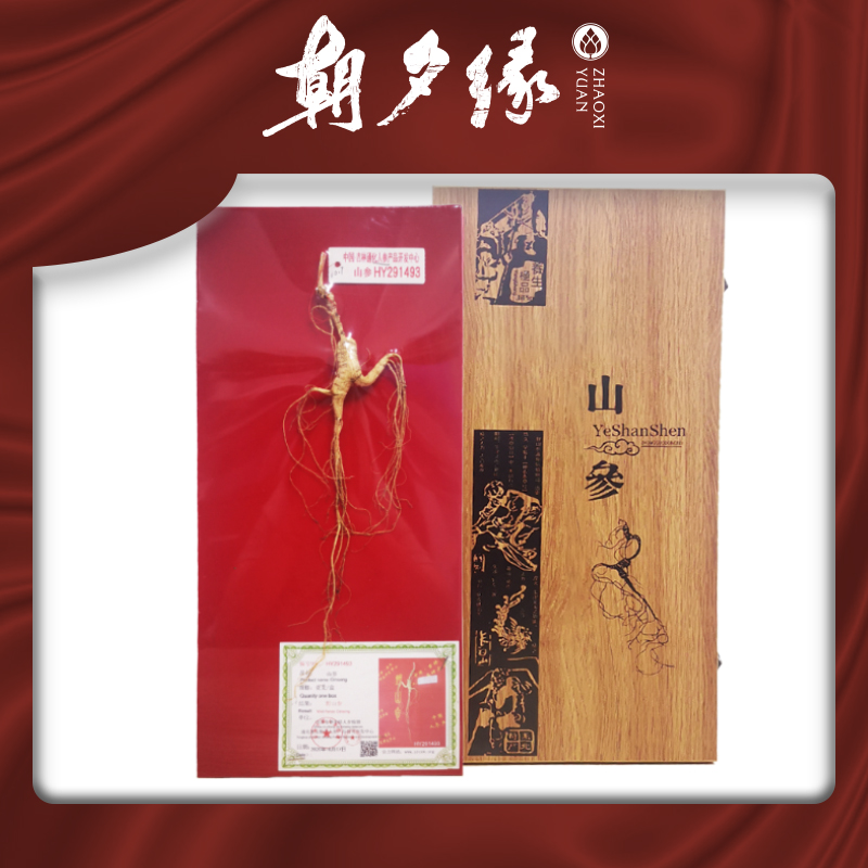 朝夕缘山参长白山人参送礼佳品≥10g|msdalam kategori makanan berkhasiat tradisional, ginseng tonik, ginseng liar - dari Buy2taobao.com untuk memberikan perkhidmatan ejen Taobao profesional membeli