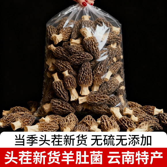 羊肚菌干货云南特产菌菇煲汤食材