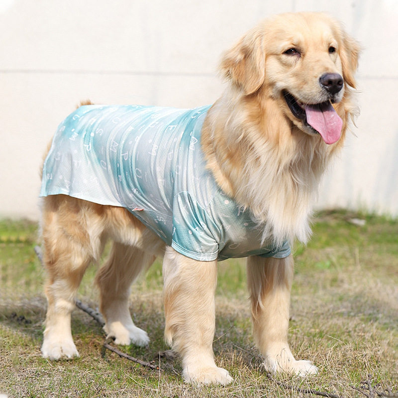 狗狗衣服夏季薄款大狗拉布拉多萨摩耶边牧中型大型犬夏天金毛背心图片
