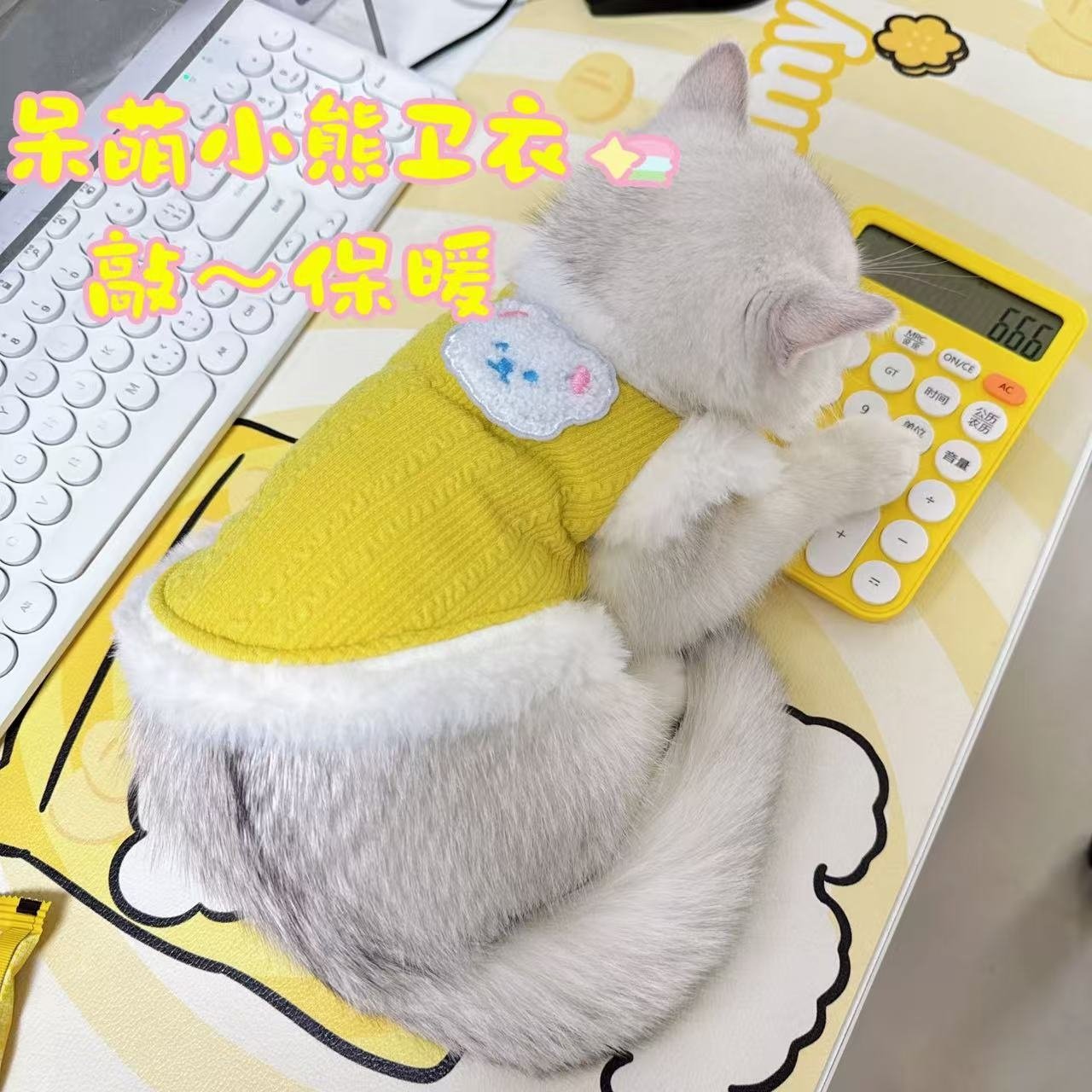 猫咪衣服秋冬保暖背心马甲可爱银渐层布偶猫蓝猫幼猫冬装宠物服饰,宠物/宠物食品及用品,狗宠物服装/雨衣,淘宝优惠券,粉丝福利购,淘宝优惠卷