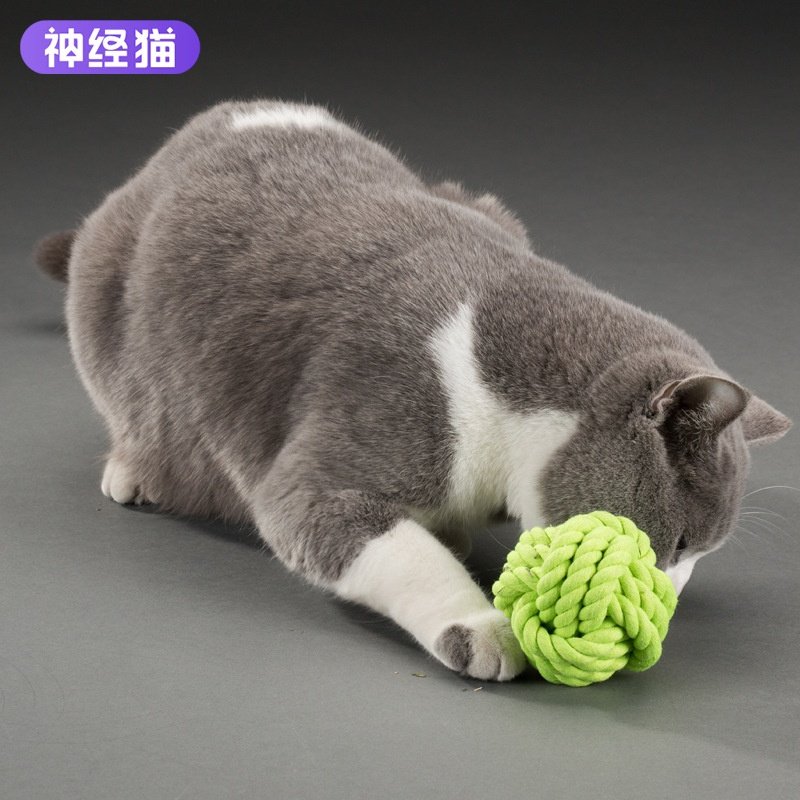 宠物咬咬绳玩具解闷磨牙狗狗玩具绳结球泰迪狗咬骨头耐咬球棉绳球,宠物/宠物食品及用品,猫狗特色玩具,淘宝优惠券,粉丝福利购,淘宝优惠卷