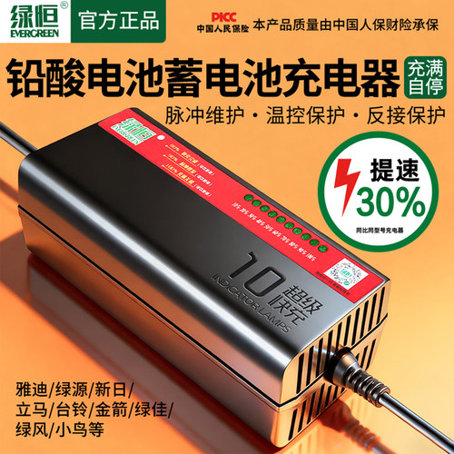 绿恒十灯充电器适配爱玛雅迪台铃