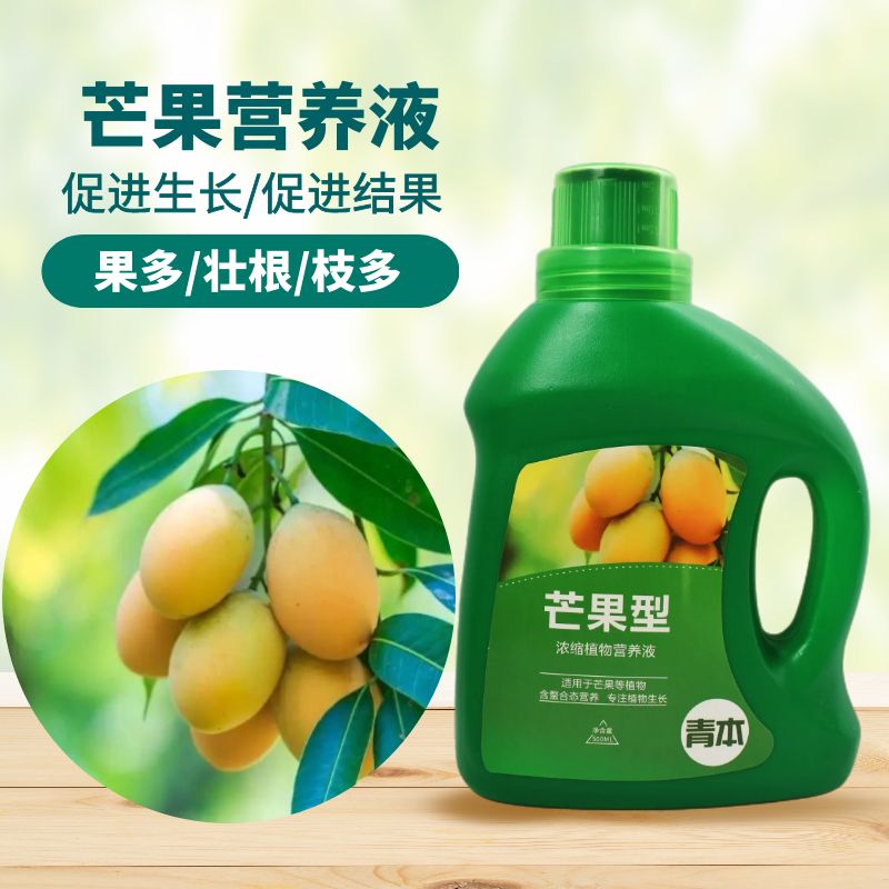 青本芒果树专用肥营养液