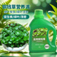 铜钱草营养液专用肥养水培植物肥料水溶肥养花土培金钱草家用盆栽