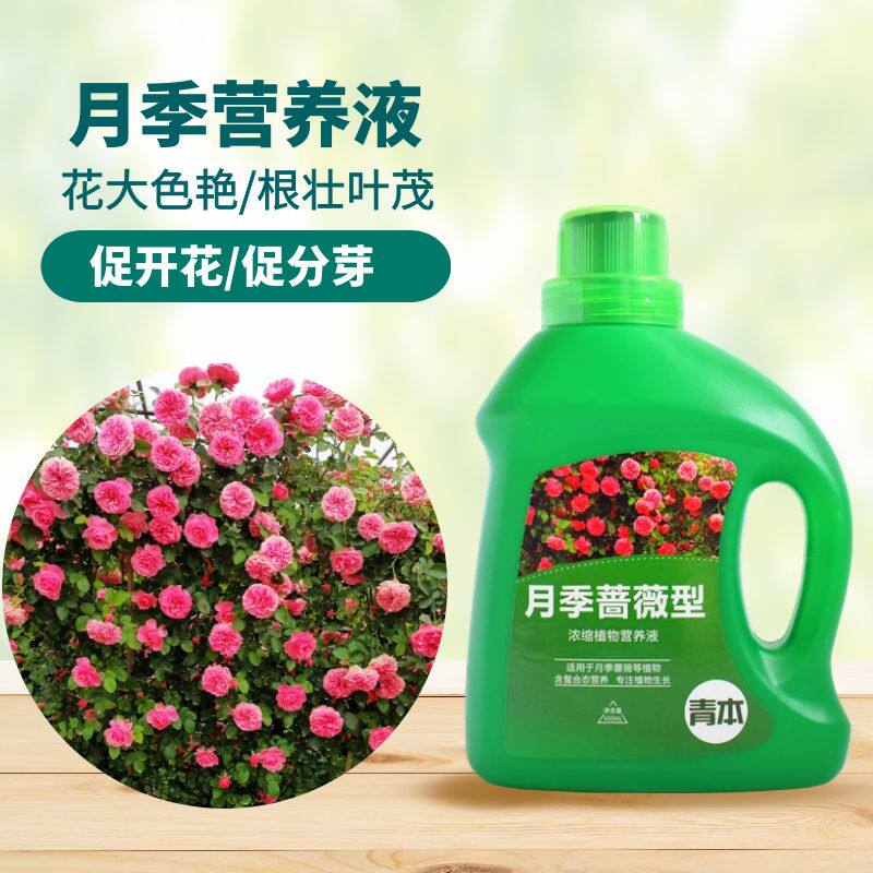 月季蔷薇专用营养液浓缩液体花肥料盆栽玫瑰蔷薇花卉植物通用型水
