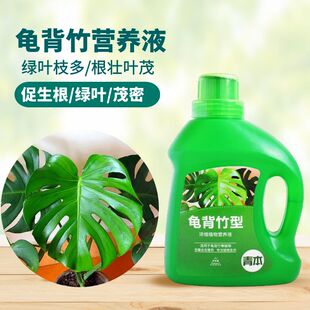 龟背竹专用肥龟背竹肥料营养液龟背竹盆栽专用营养土土壤土培水培