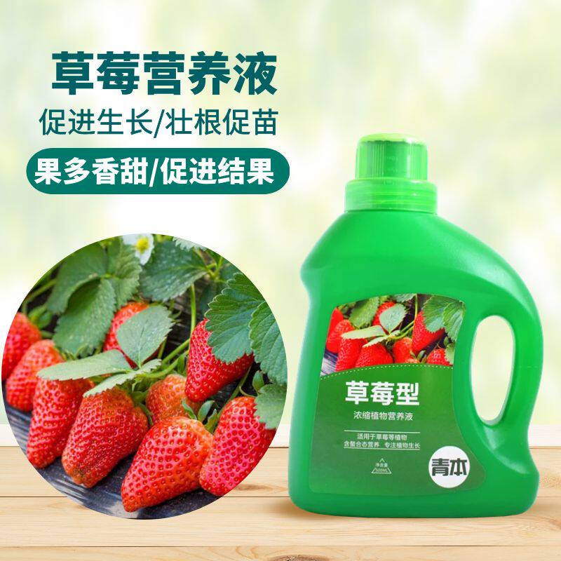 青本草莓专用型营养液