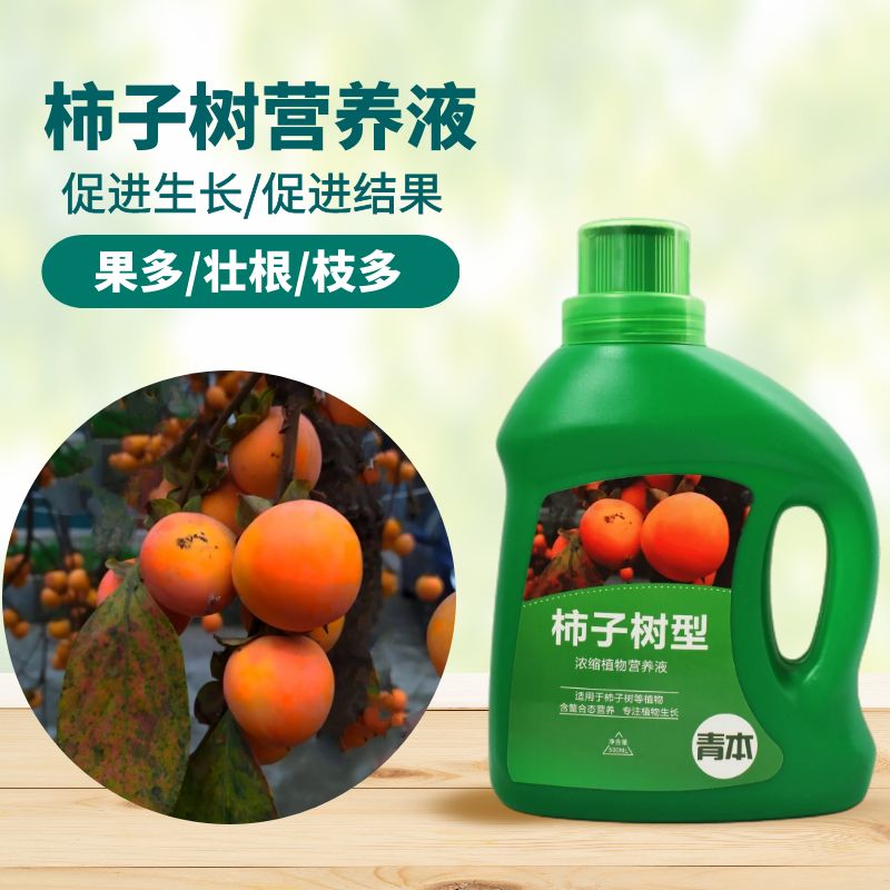 青本柿子树专用营养液