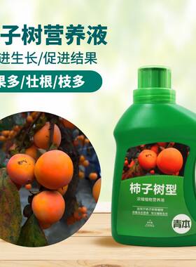 青本柿子树专用营养液